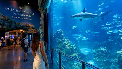 Deep Sea Aquariums